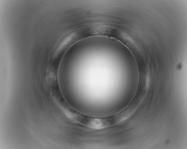 X0000092070091200709121425