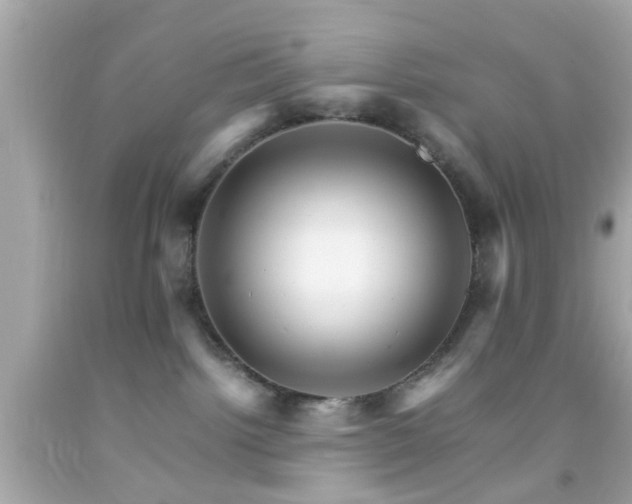 X0000092070092200709121425