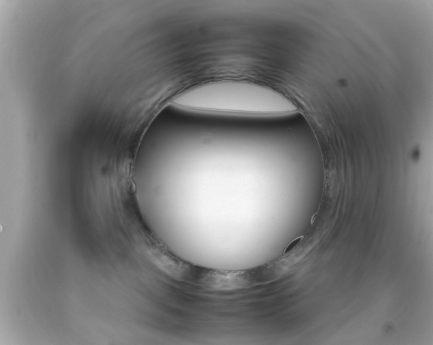 X0000092070093200709121425