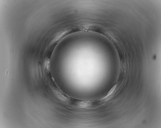 X0000092070094200709121425