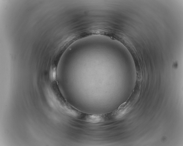 X0000092070095200709121425