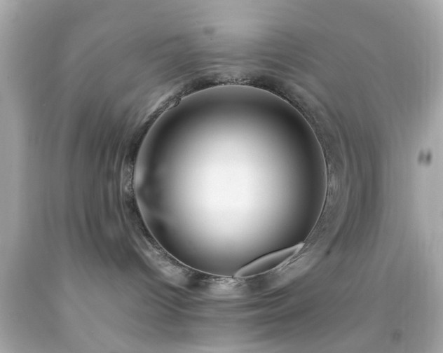 X0000092070096200709121425