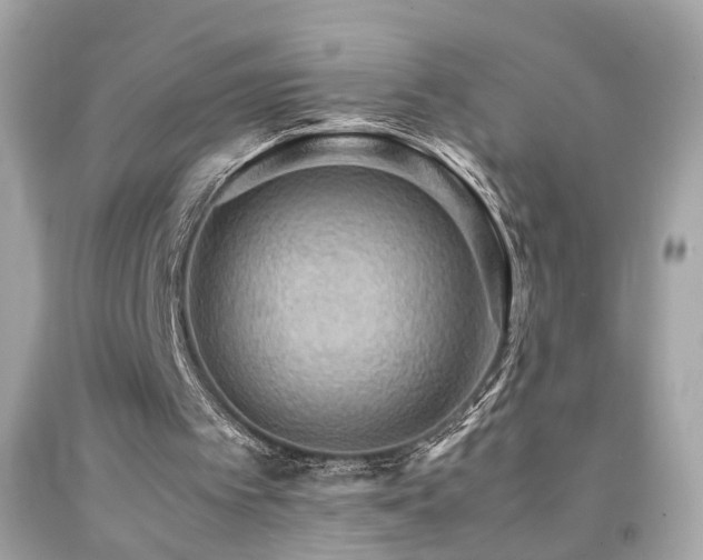 X0000092070097200709121424