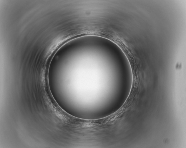 X0000092070098200709121424