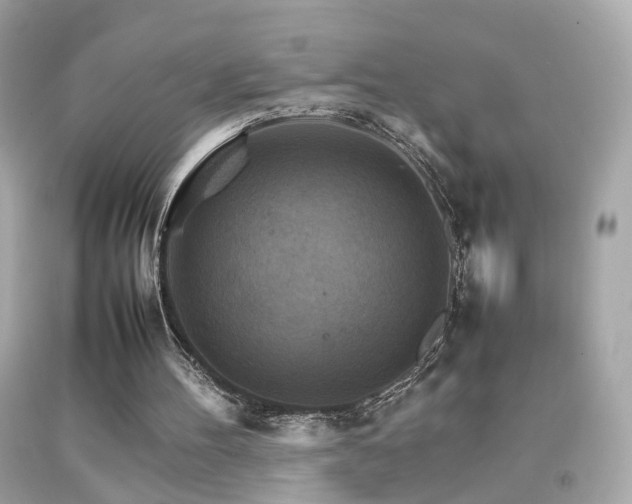 X0000092070100200709121424
