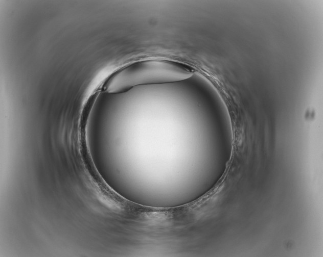 X0000092070102200709121424
