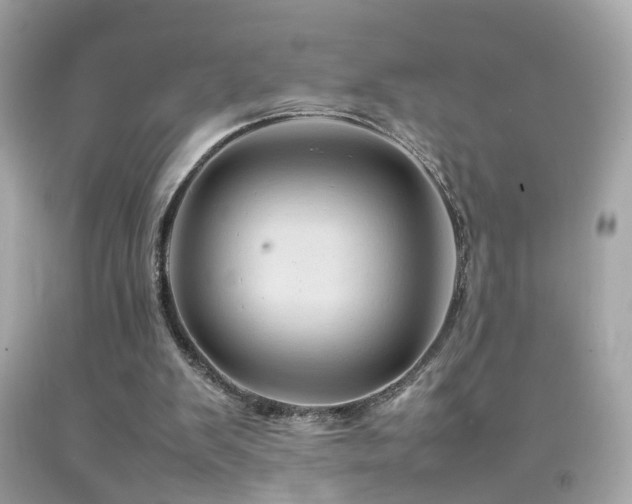 X0000092070103200709121424