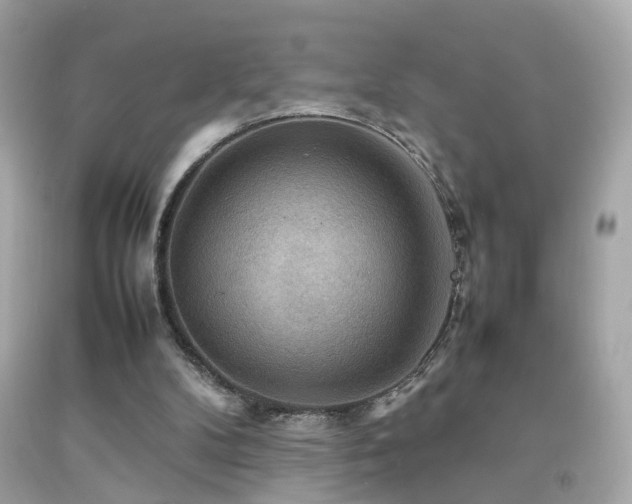 X0000092070104200709121424