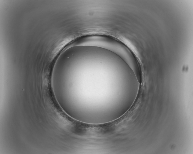 X0000092070105200709121424