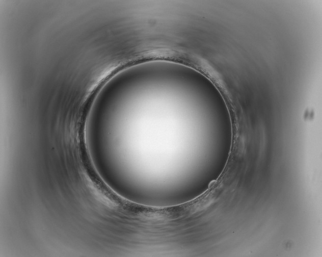 X0000092070106200709121424