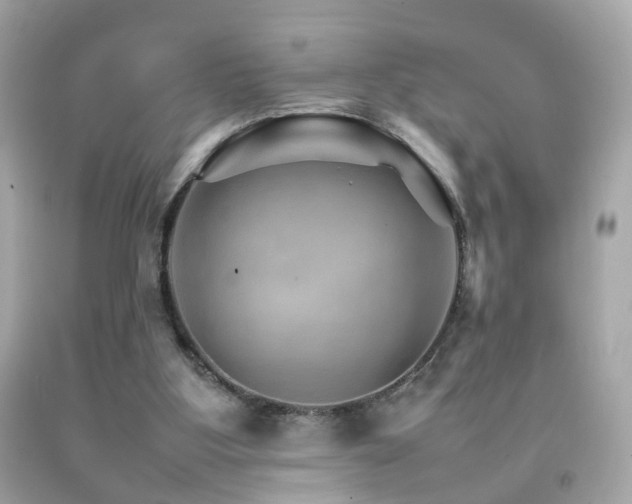 X0000092070107200709121424