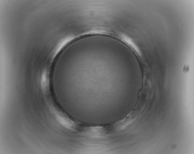 X0000092070108200709121424