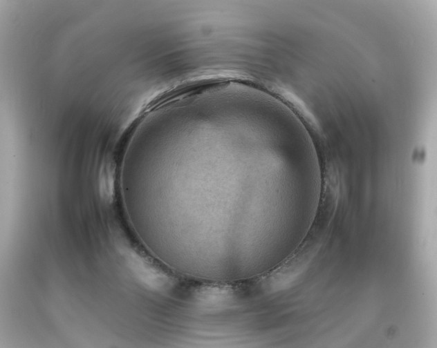 X0000092070110200709121424