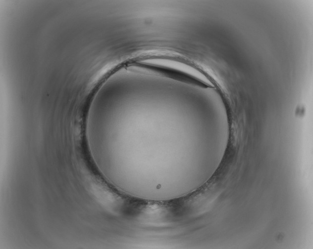 X0000092070111200709121424