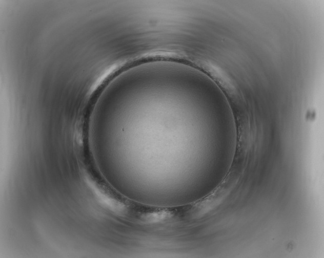 X0000092070112200709121424