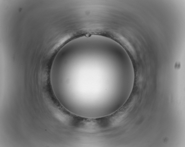 X0000092070113200709121424
