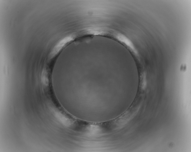 X0000092070114200709121424
