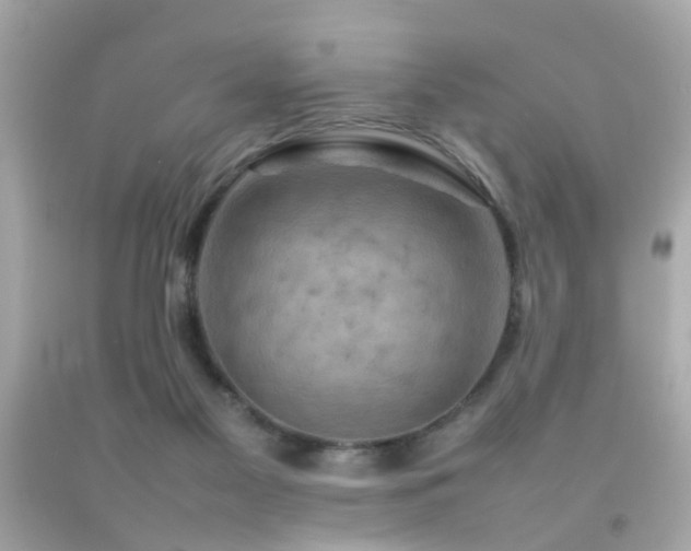 X0000092070117200709121424
