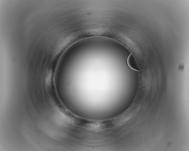 X0000092070118200709121424