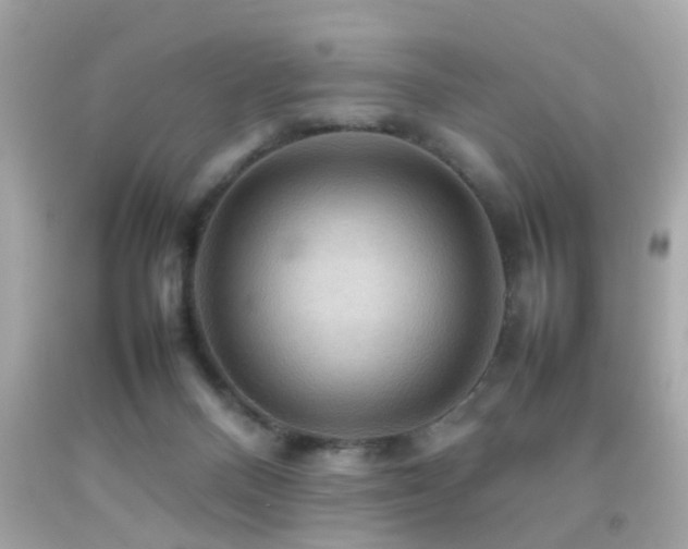 X0000092070120200709121424