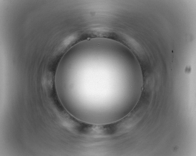X0000092070121200709121424