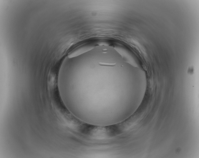 X0000092070123200709121424