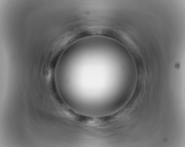 X0000092070125200709121424