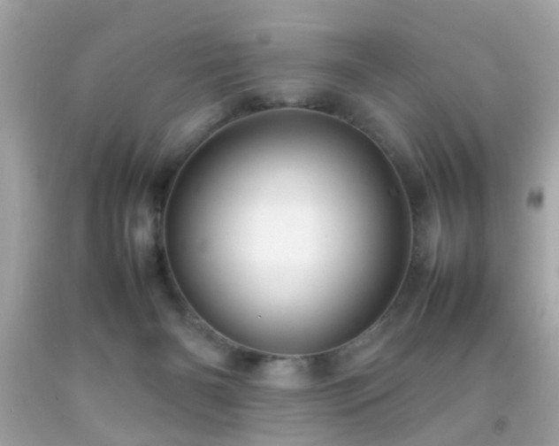 X0000092070126200709121424