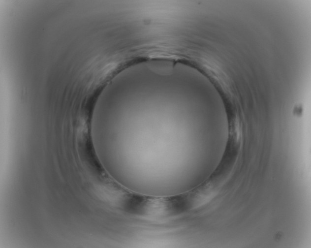 X0000092070127200709121424