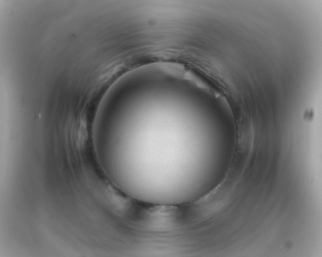 X0000092070128200709121424