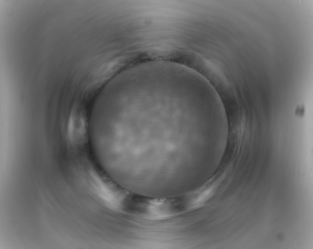 X0000092070130200709121424