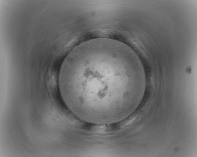 X0000092070131200709121424