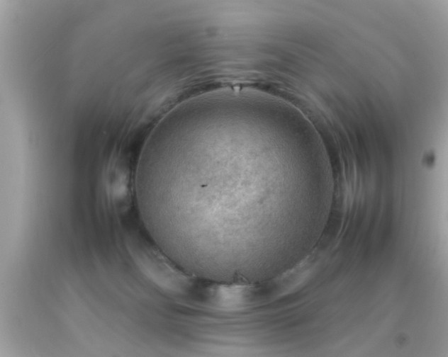 X0000092070134200709121424