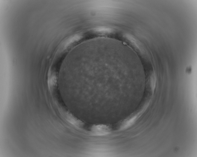 X0000092070137200709121424