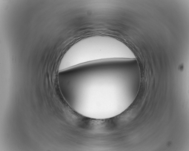 X0000092070139200709121424