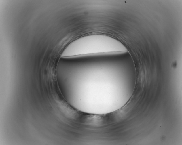 X0000092070140200709121424