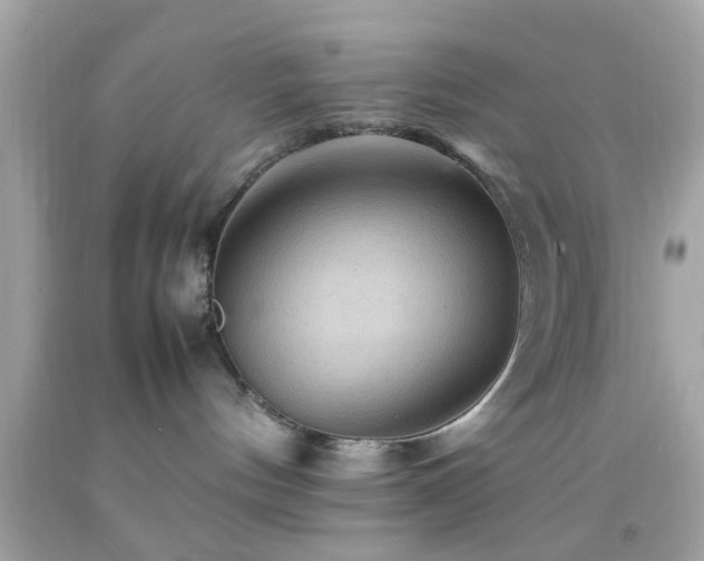 X0000092070144200709121424