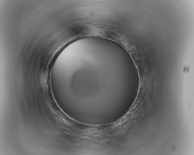 X0000092070146200709121423