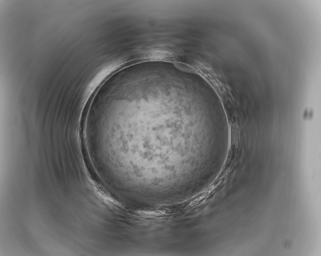 X0000092070147200709121423