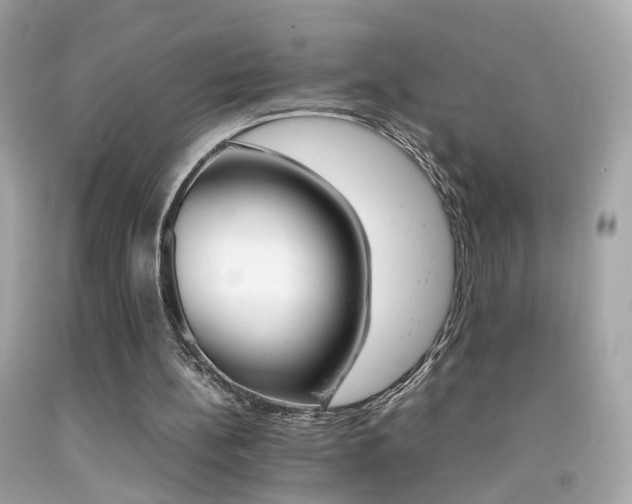 X0000092070148200709121423