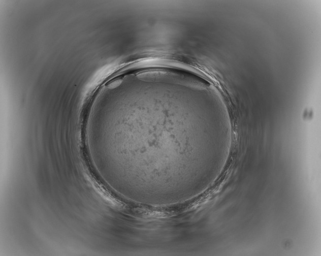 X0000092070149200709121423