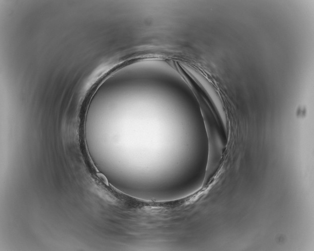 X0000092070150200709121423