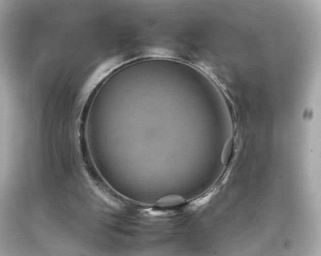 X0000092070151200709121423
