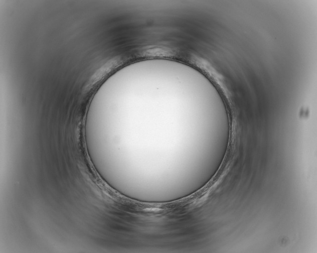 X0000092070153200709121423
