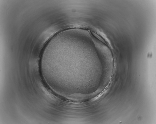 X0000092070154200709121423