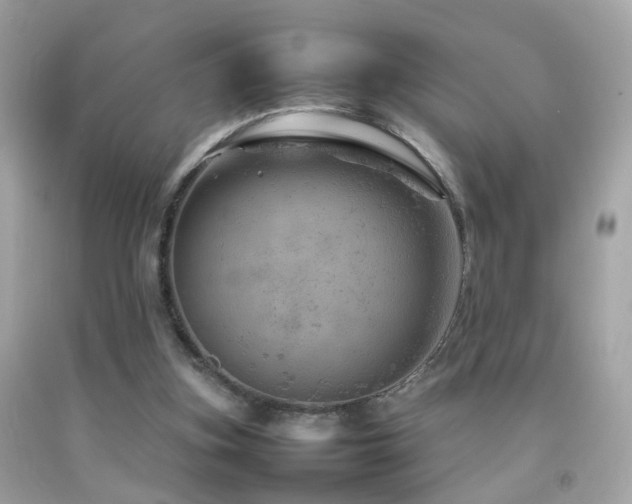 X0000092070155200709121423
