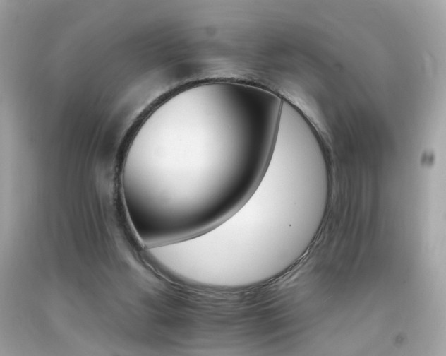 X0000092070156200709121423