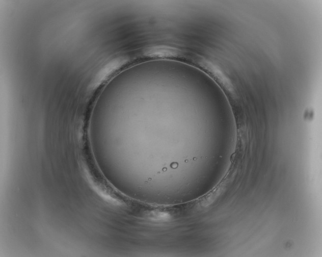X0000092070159200709121423