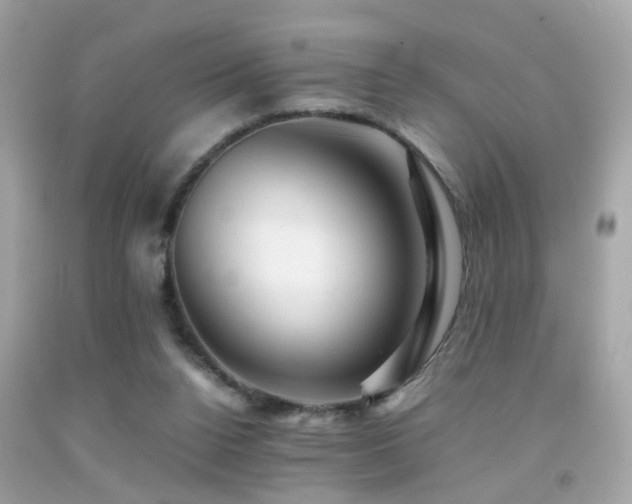 X0000092070160200709121423
