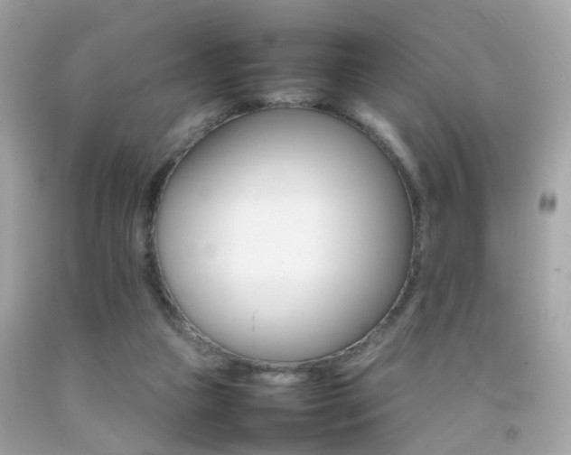 X0000092070161200709121423